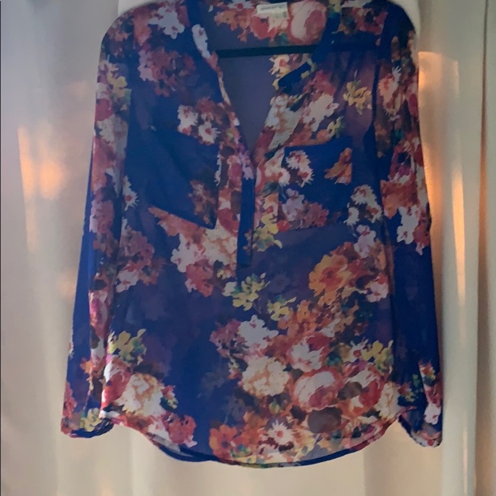 Anthropologie Meadow Rue sheer blouse